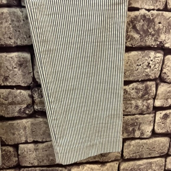 Jones New York Blue & White Seersucker Pull On Dress Pants Size 4 - Picture 4 of 9